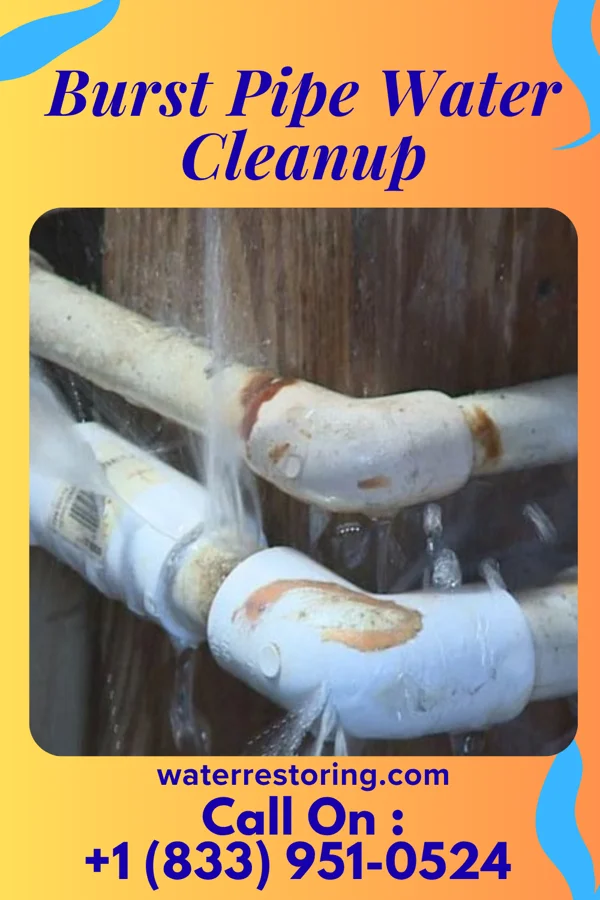 Burst Pipe Water Cleanup in Sheyenne, ND